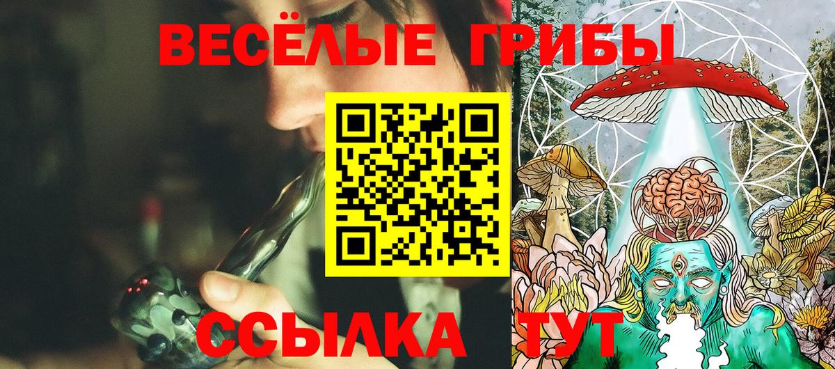 Псилоцибиновые грибы мицелий  Псилоцибиновые грибы прущие грибы  наркотики  Вход с VPN  Киров 